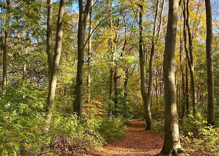 Sonnige, Ruhige 5 Min Zum U Zentrum Daire